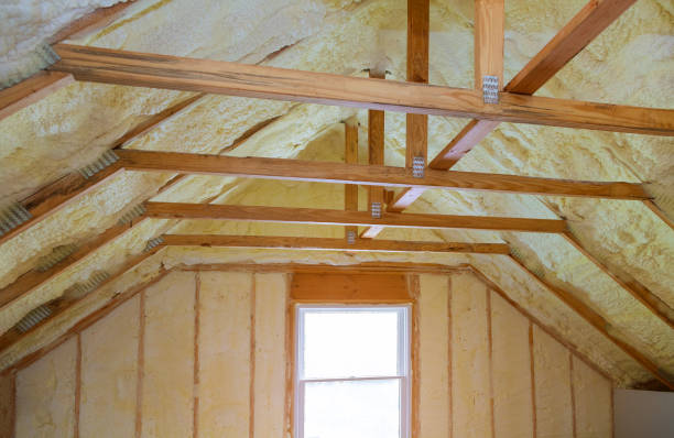 Best Eco-Friendly Insulation in Meadview, AZ