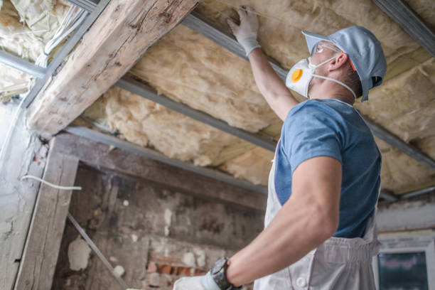 Best Specialized Insulation Services in Meadview, AZ